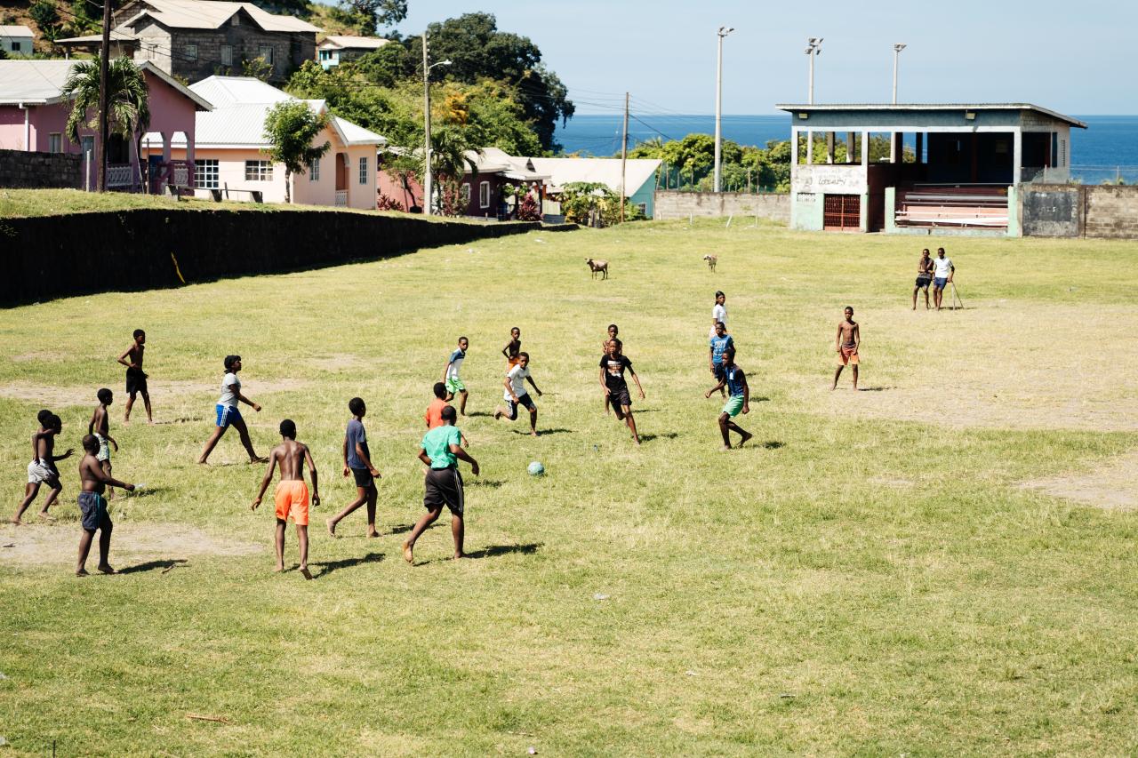  Saint-Vincent-et-les-Grenadines