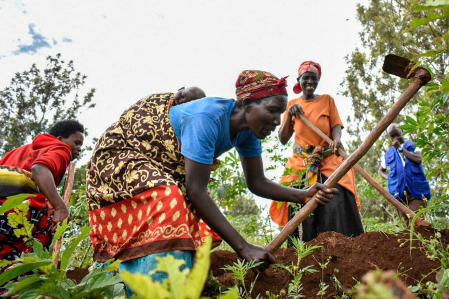 Women wearing colorful clothes work together in a field