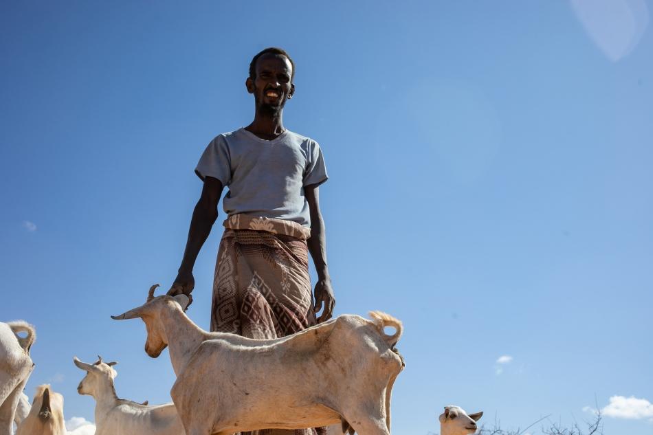 A man stands under a blazing sun surrounded by his livestock 