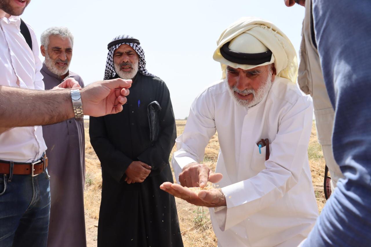 أدت موجات الجفاف المتتالية وتعطل الإنتاج الزراعي إلى ارتفاع مستويات انعدام الأمن الغذائي في ريف دير الزور.