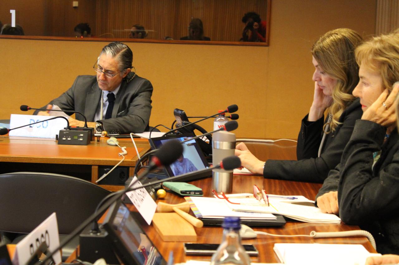Assistant Secretary-General for UNDCO at a meeting