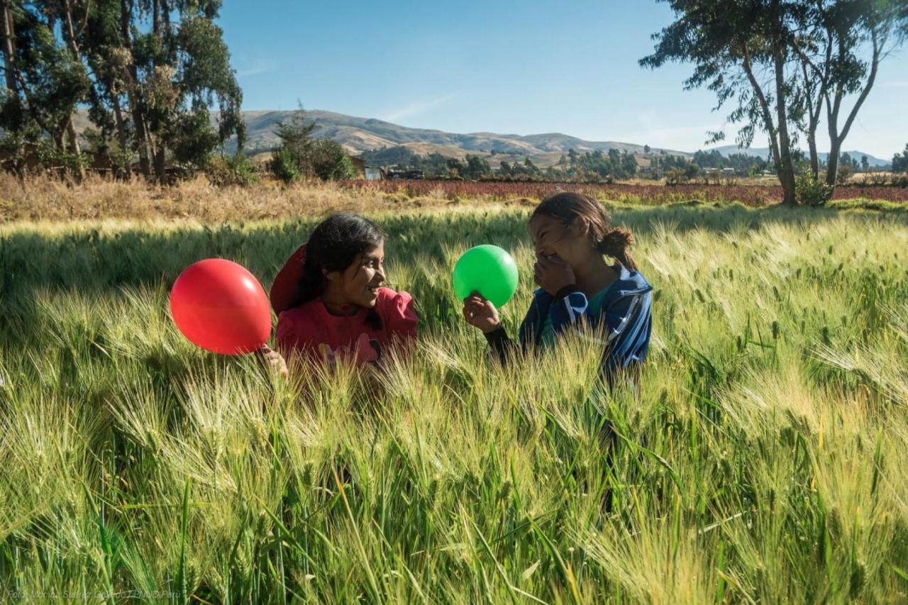 Children playing in a field