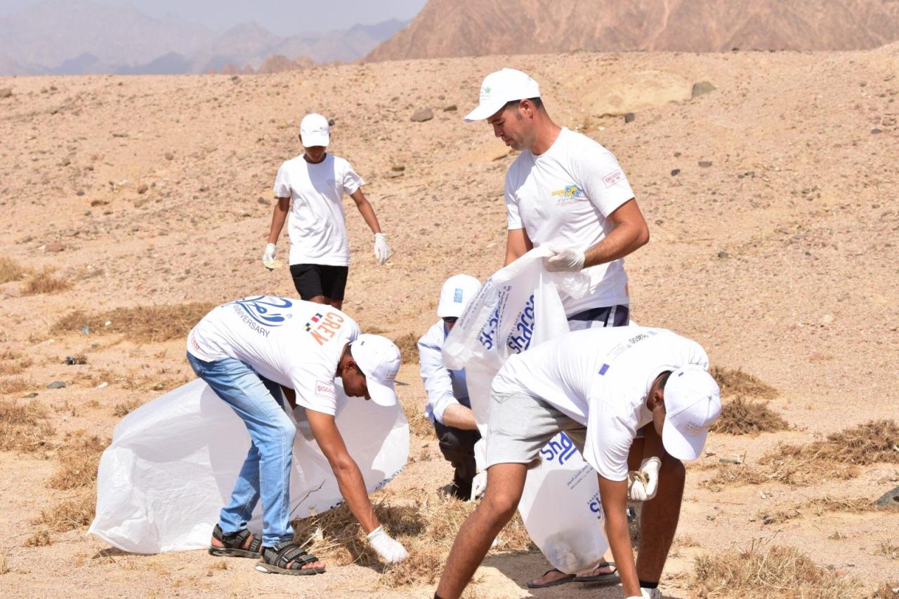 UNDP Egypt