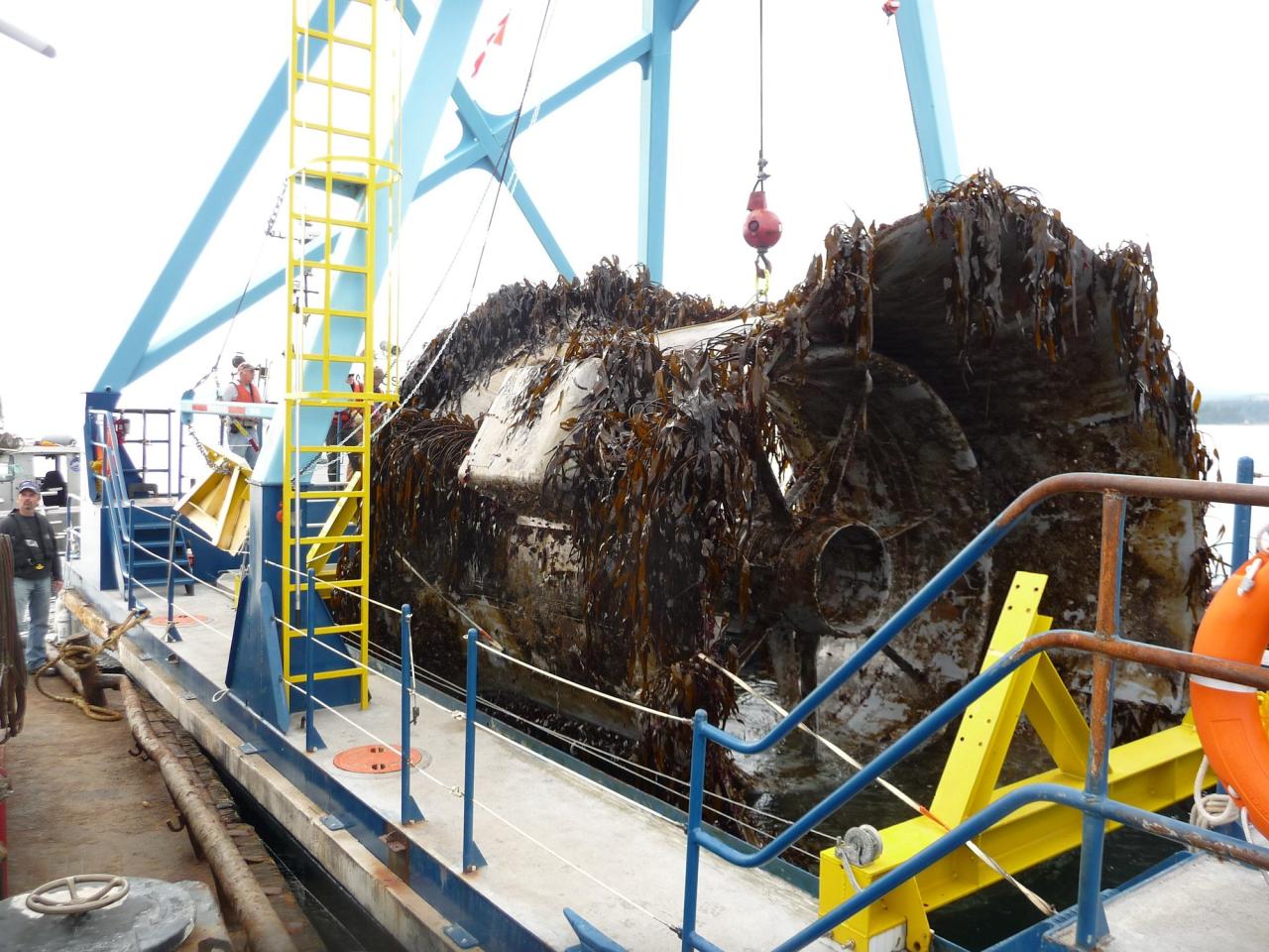 Seaweed-covered propeller