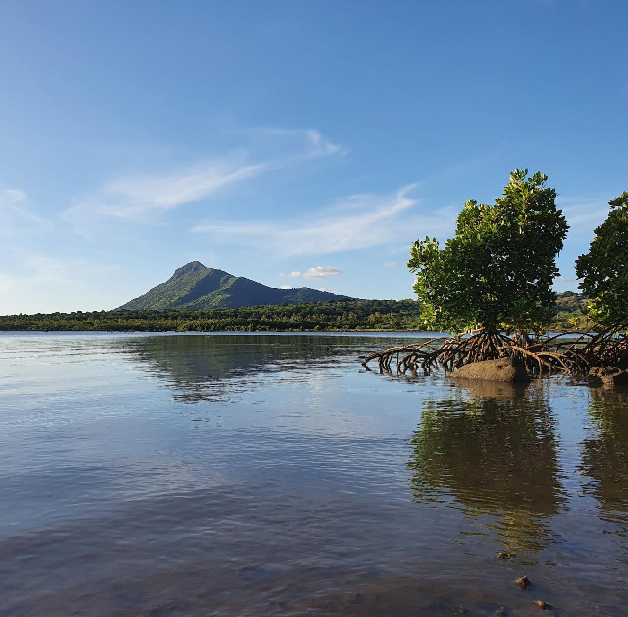 Mauritius number 2