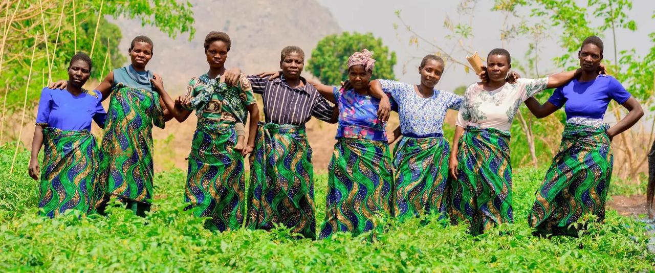 A group of women stand in an agricultural field.