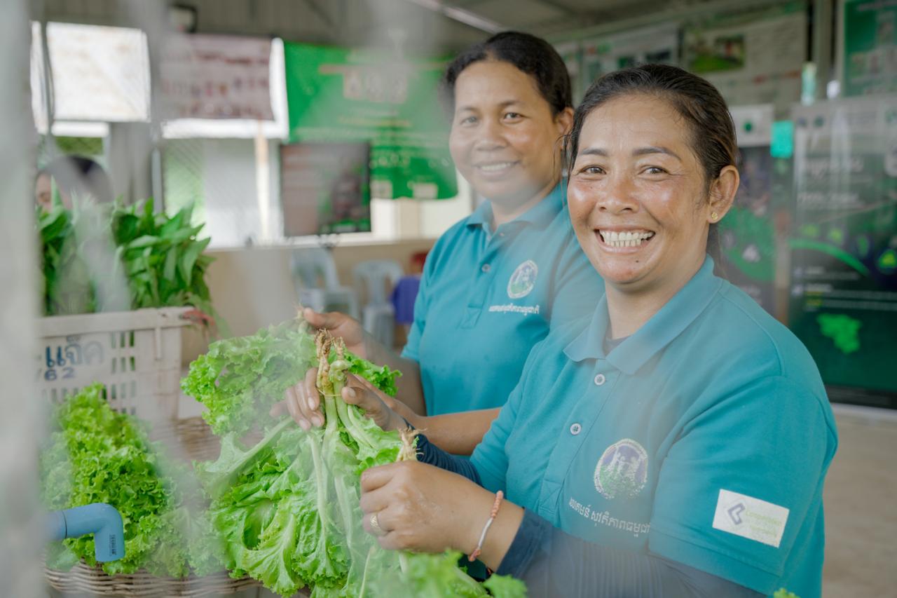 En rejoignant la coopérative et en suivant la formation de la FAO, Soda Thai est parvenue à augmenter les revenus qu’elle tire de la culture maraîchère et à trouver des débouchés intéressants pour ses produits, tels que les restaurants et les hôtels.