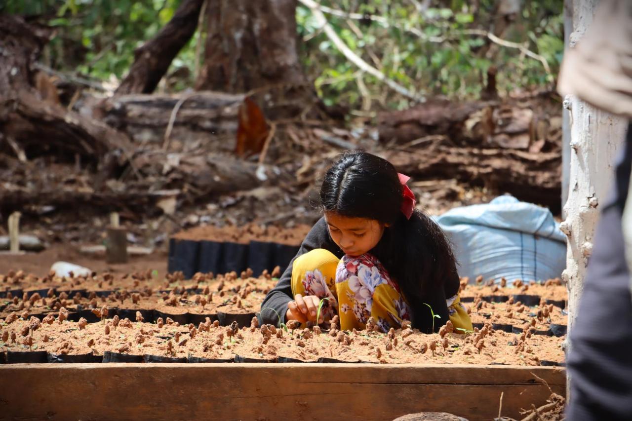 Niña cultivando