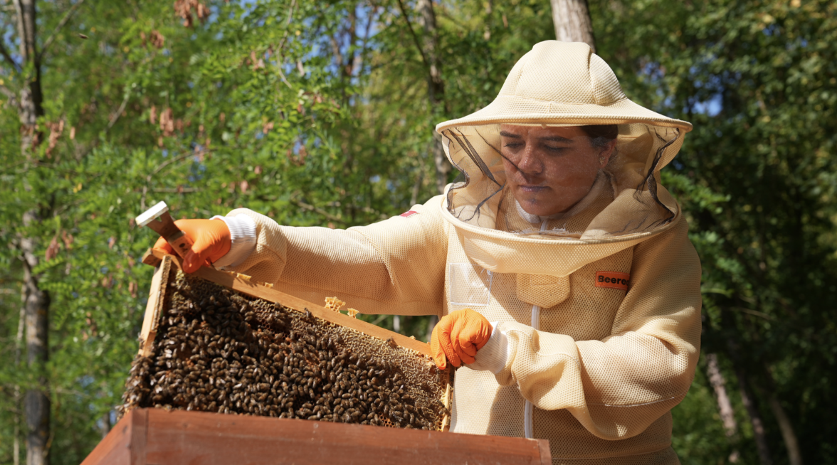  BEE-KEEPING