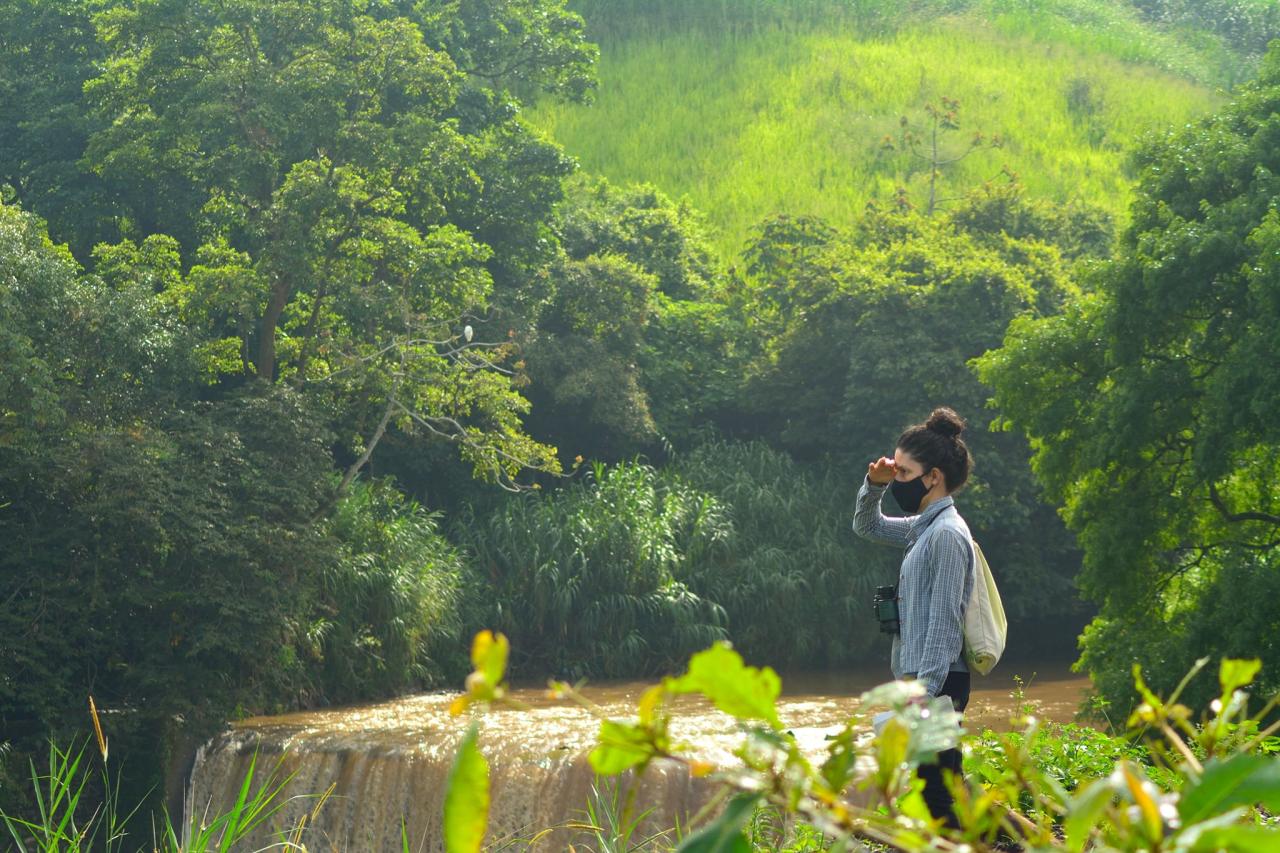 Una mujer observa desde lo alto una cascada.