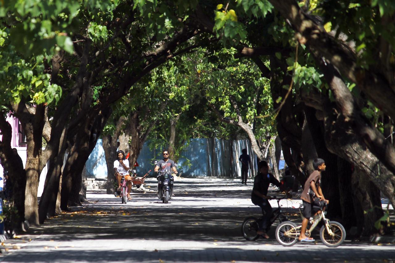 Locals in the Maldives bike down a tree-lined street.
