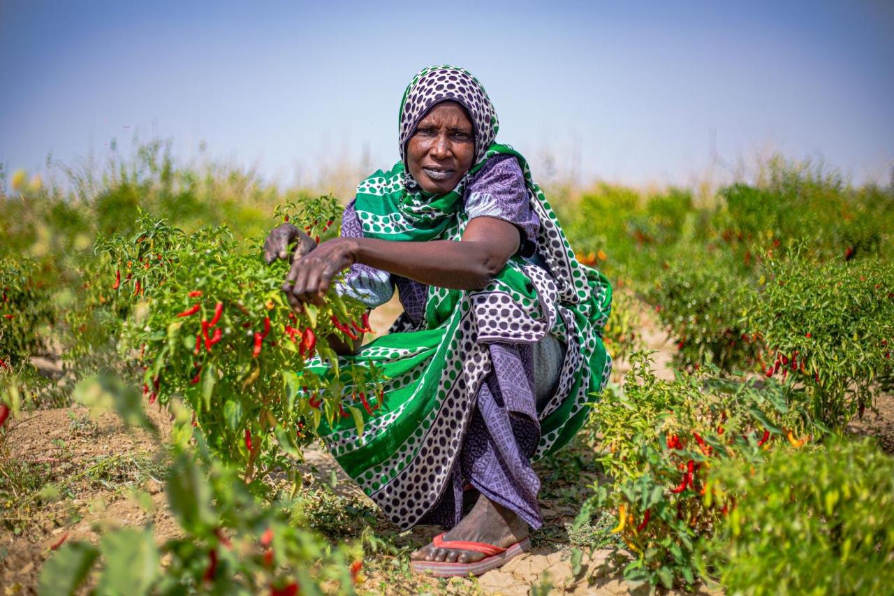 Une agricultrice au Cameroun.