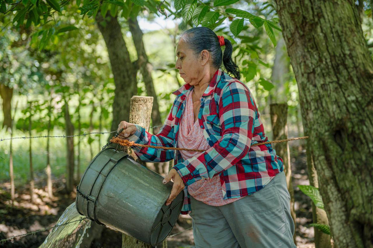 مزارع في كوستاريكا.