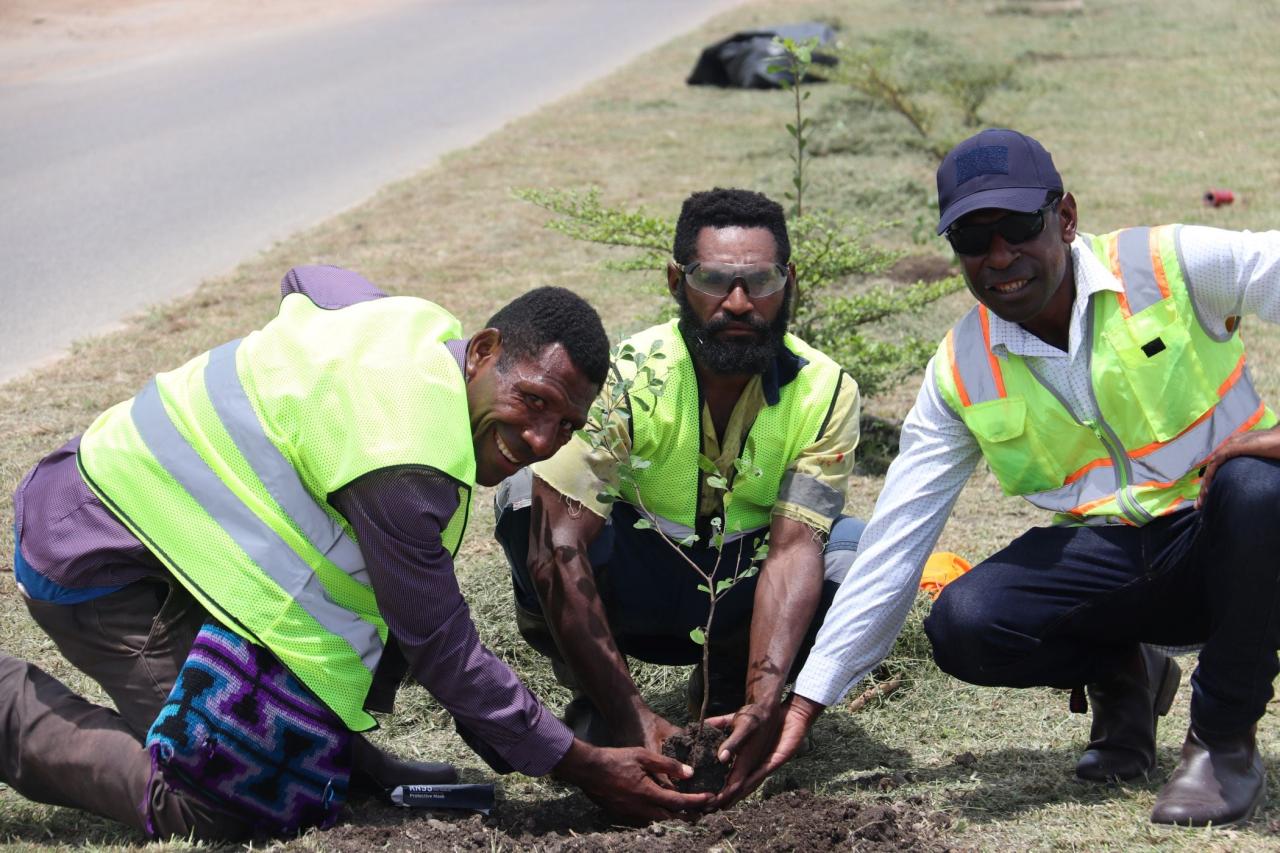 Three men plant a tree in Port Moresby City.