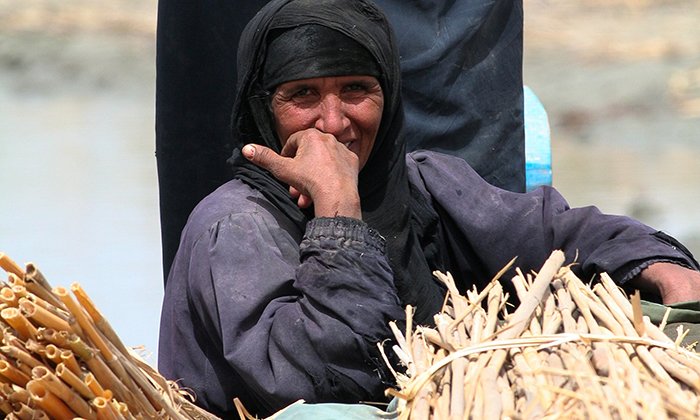 A female farmer in Iraq.