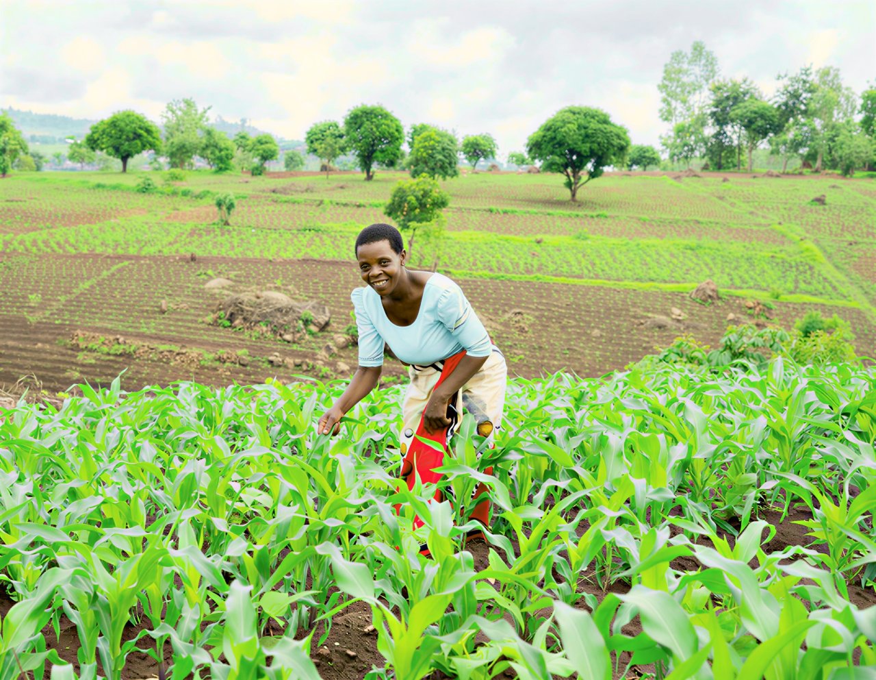 A woman farmer in her field in Malawi.