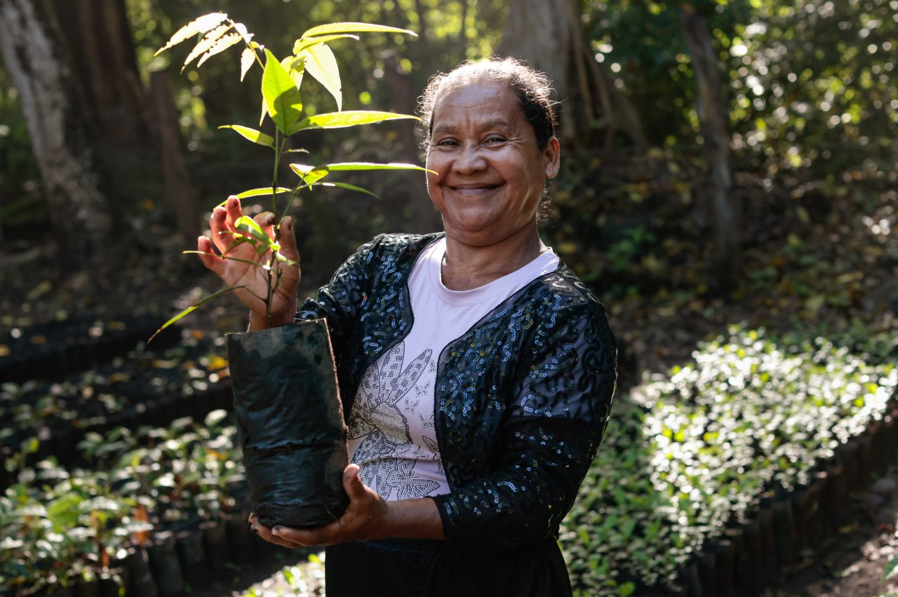 A person stands in a forest holding a young tree sapling in a plastic grow bag, surrounded by greenery.