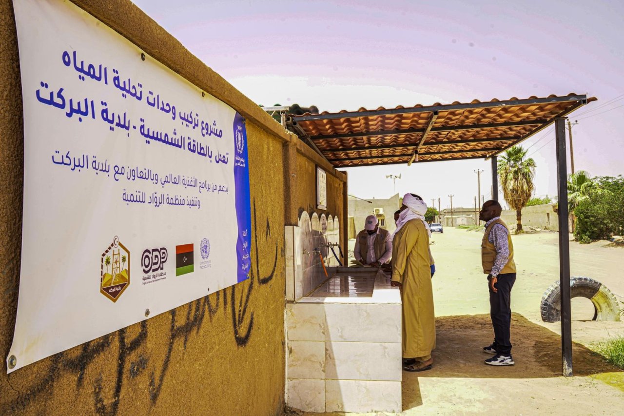 جهود مدعومة من الأمم المتحدة 
