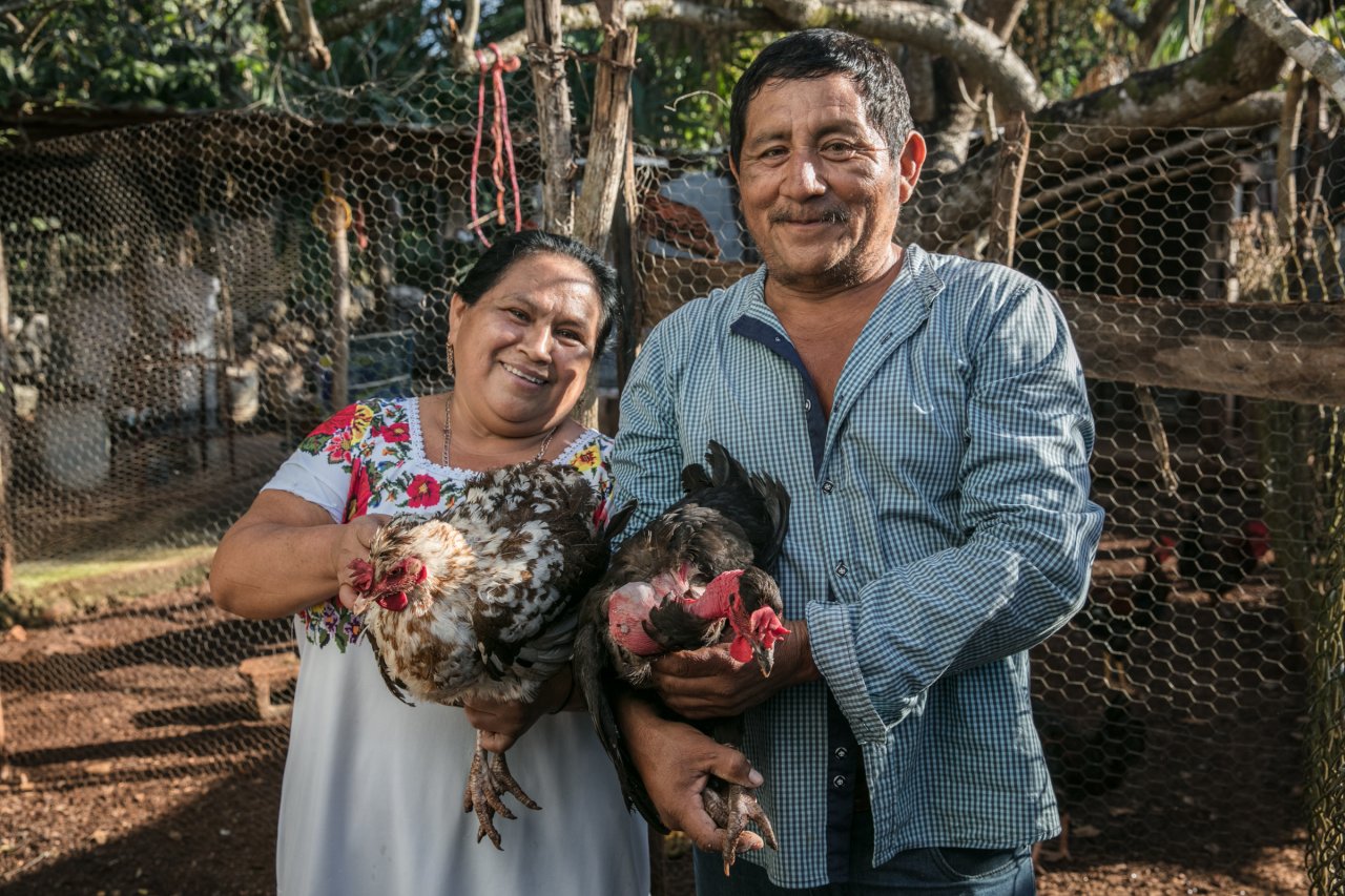 A man and woman in Mexico hold chickens.