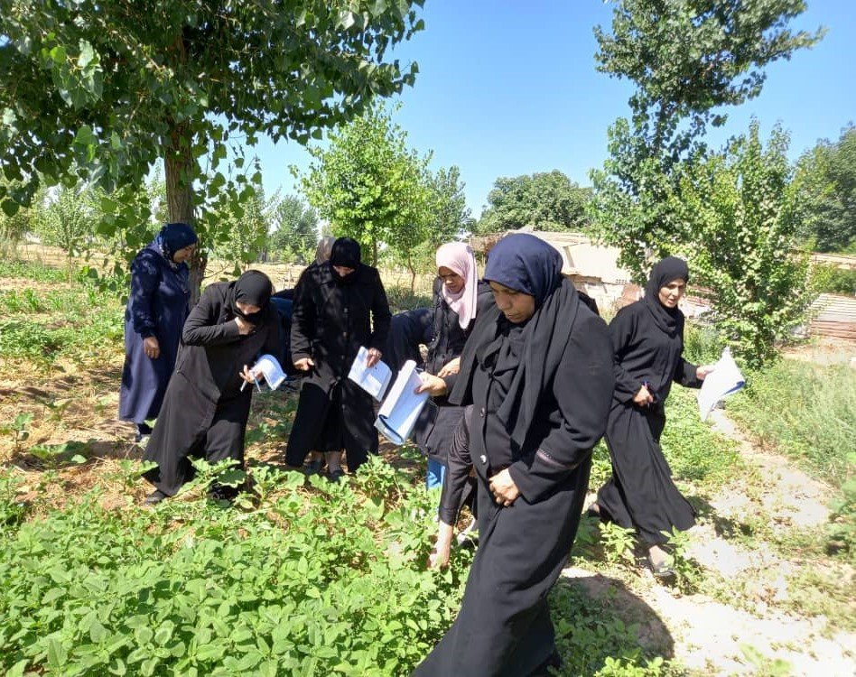 إحياء الزراعة