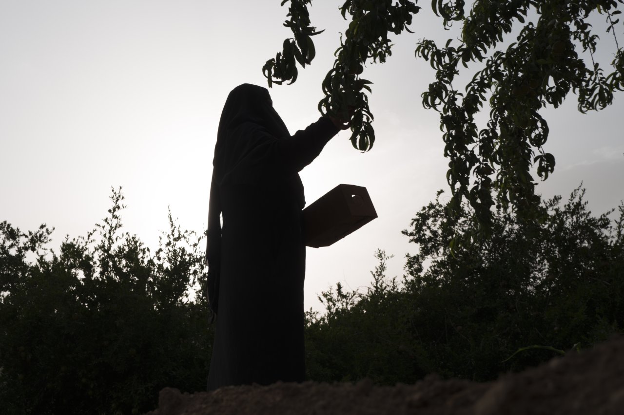A woman in Saudi Arabia works in a field.