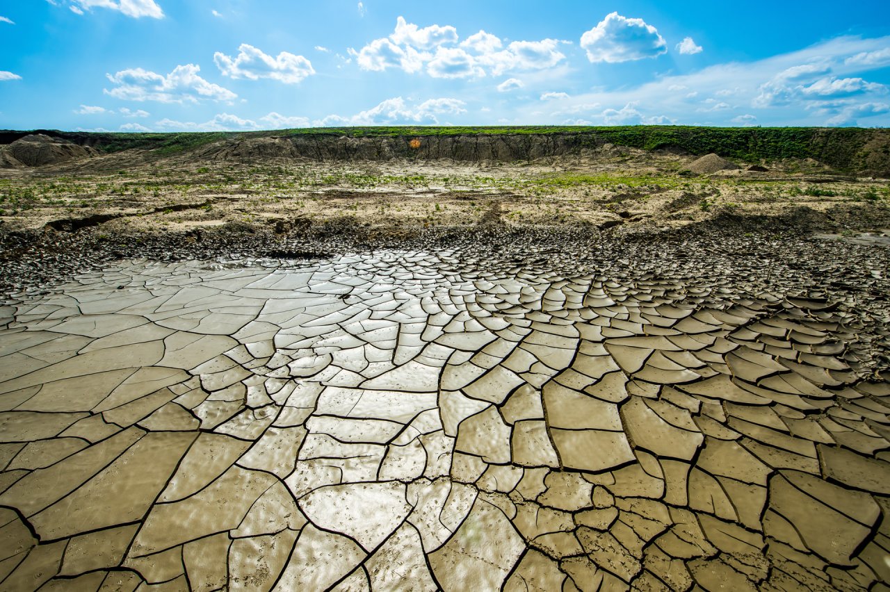 Drought-afflicted land.