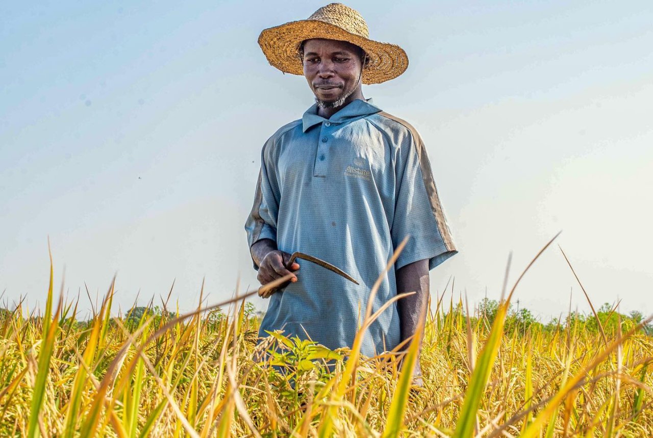 A farmer in Nigeria.