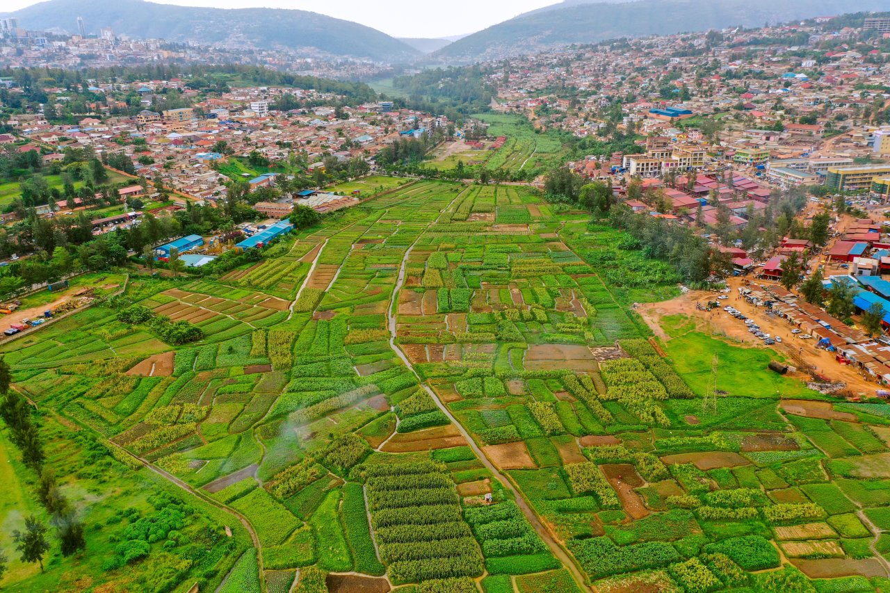 An aerial view of wetlands in Rwanda.