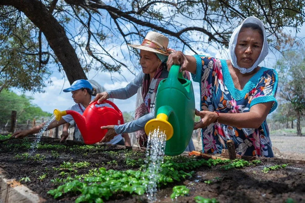 People water garden plants