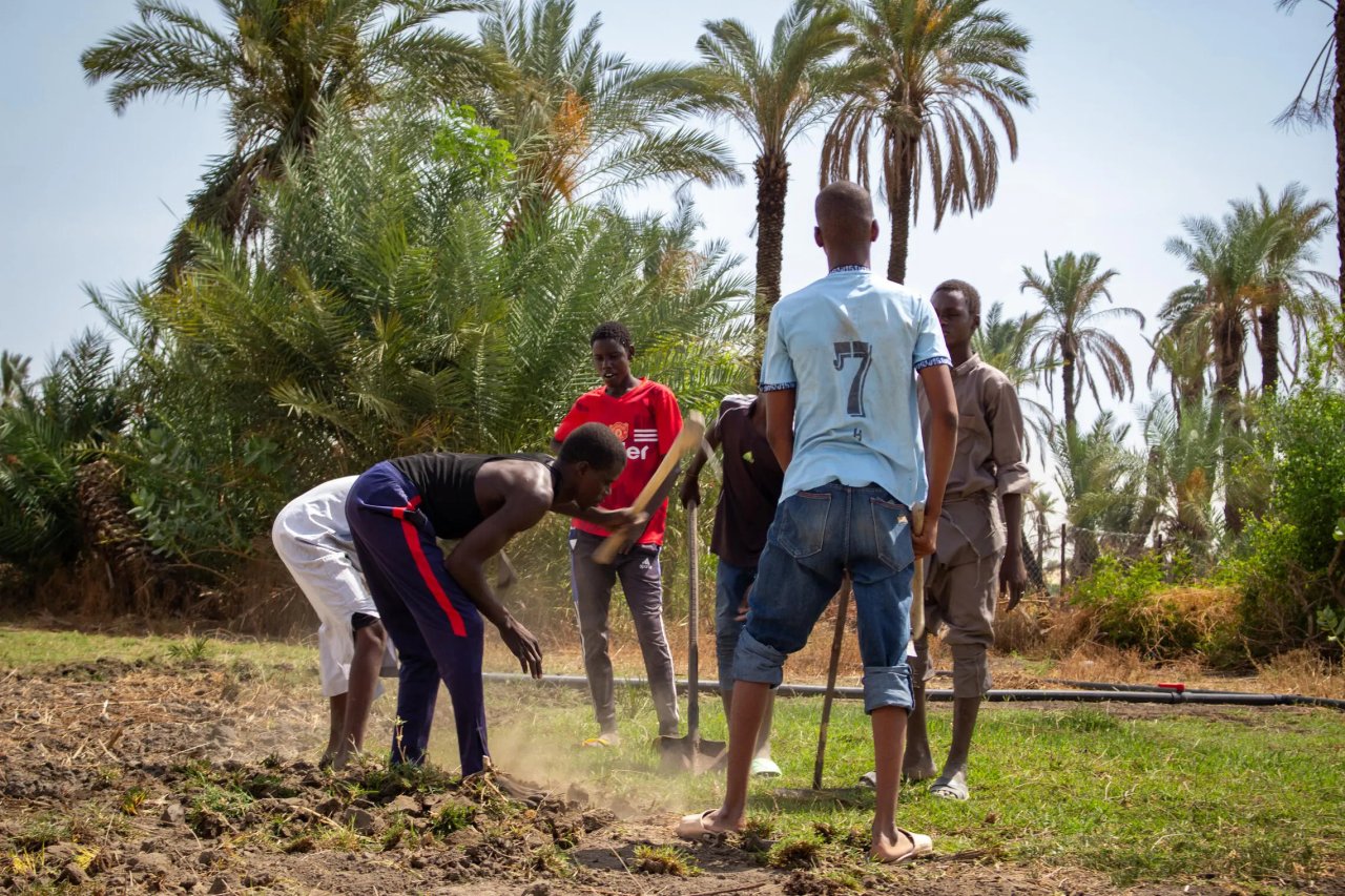 Farmers in Chad work in a field.