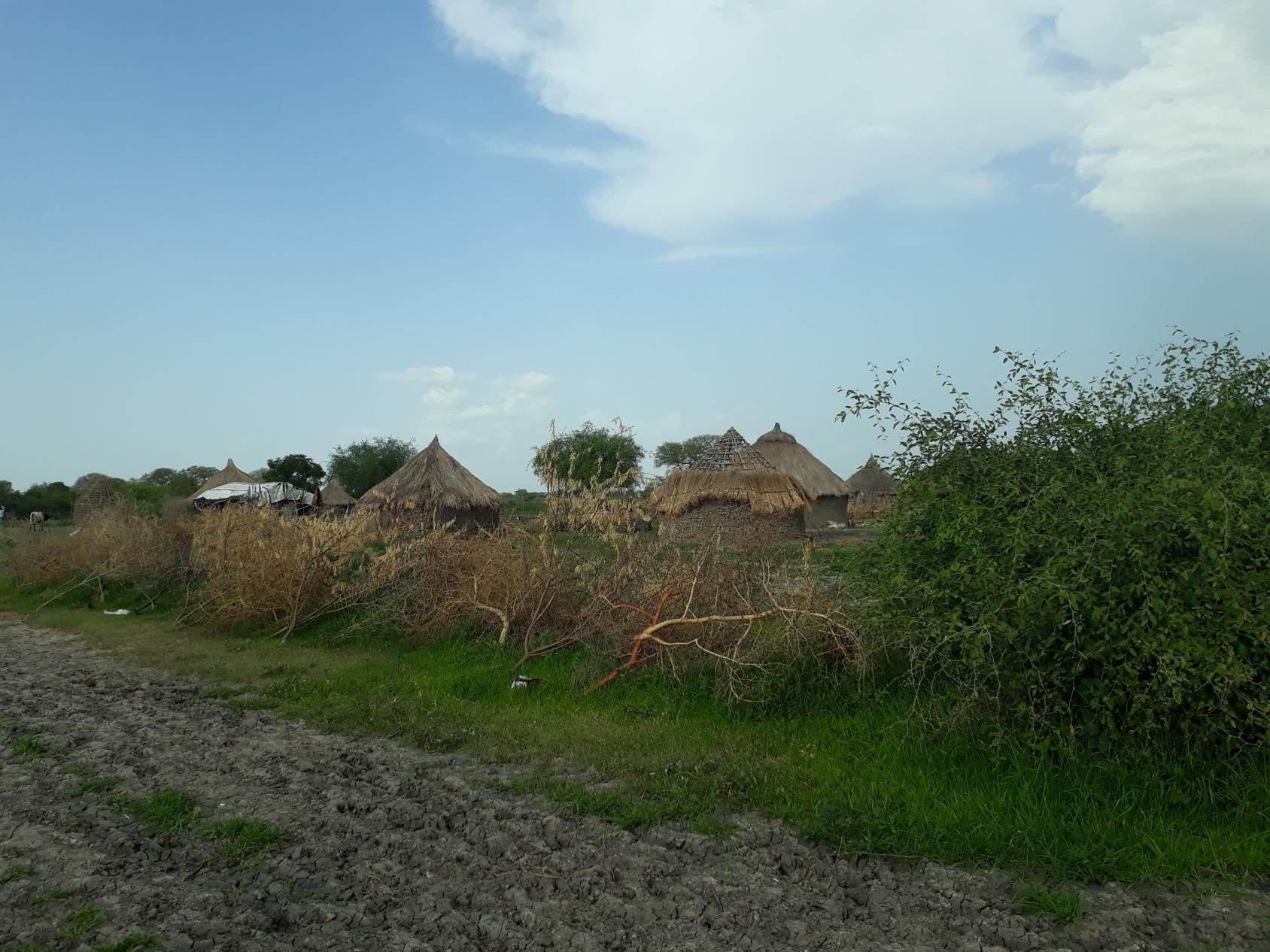 Landscape image of several huts near green bushes and a road made of rocks. 