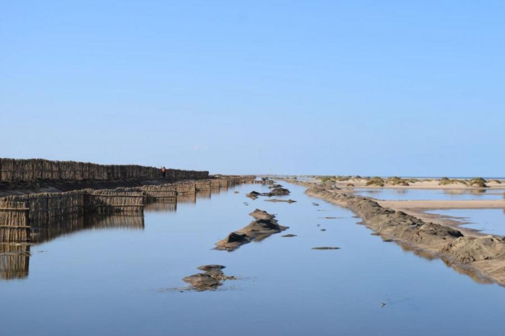 صورة طبيعية للفيضانات والأسوار الواقية بالقرب من نهر النيل.