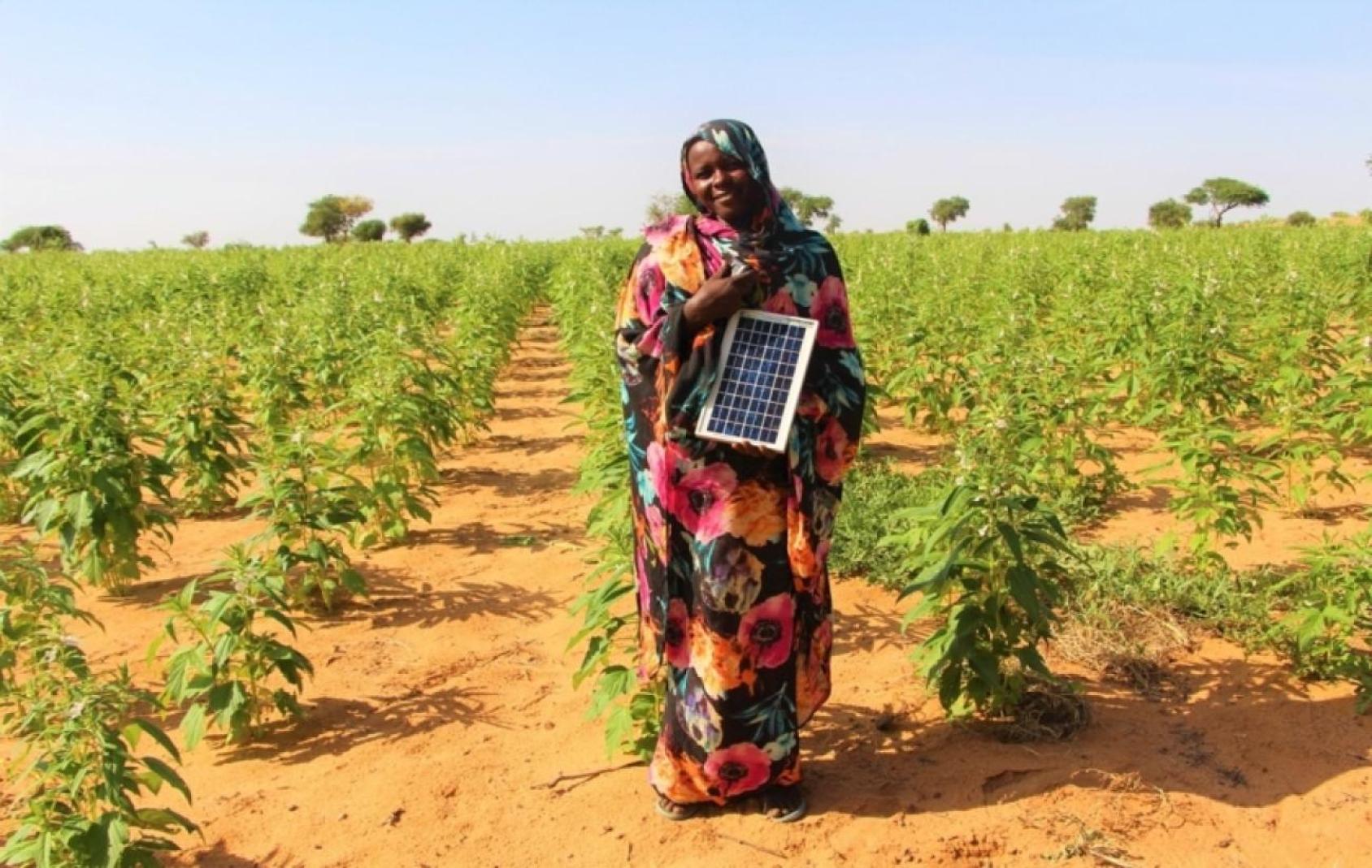 Женщина на своей ферме в регионе Дарфур в Судане.