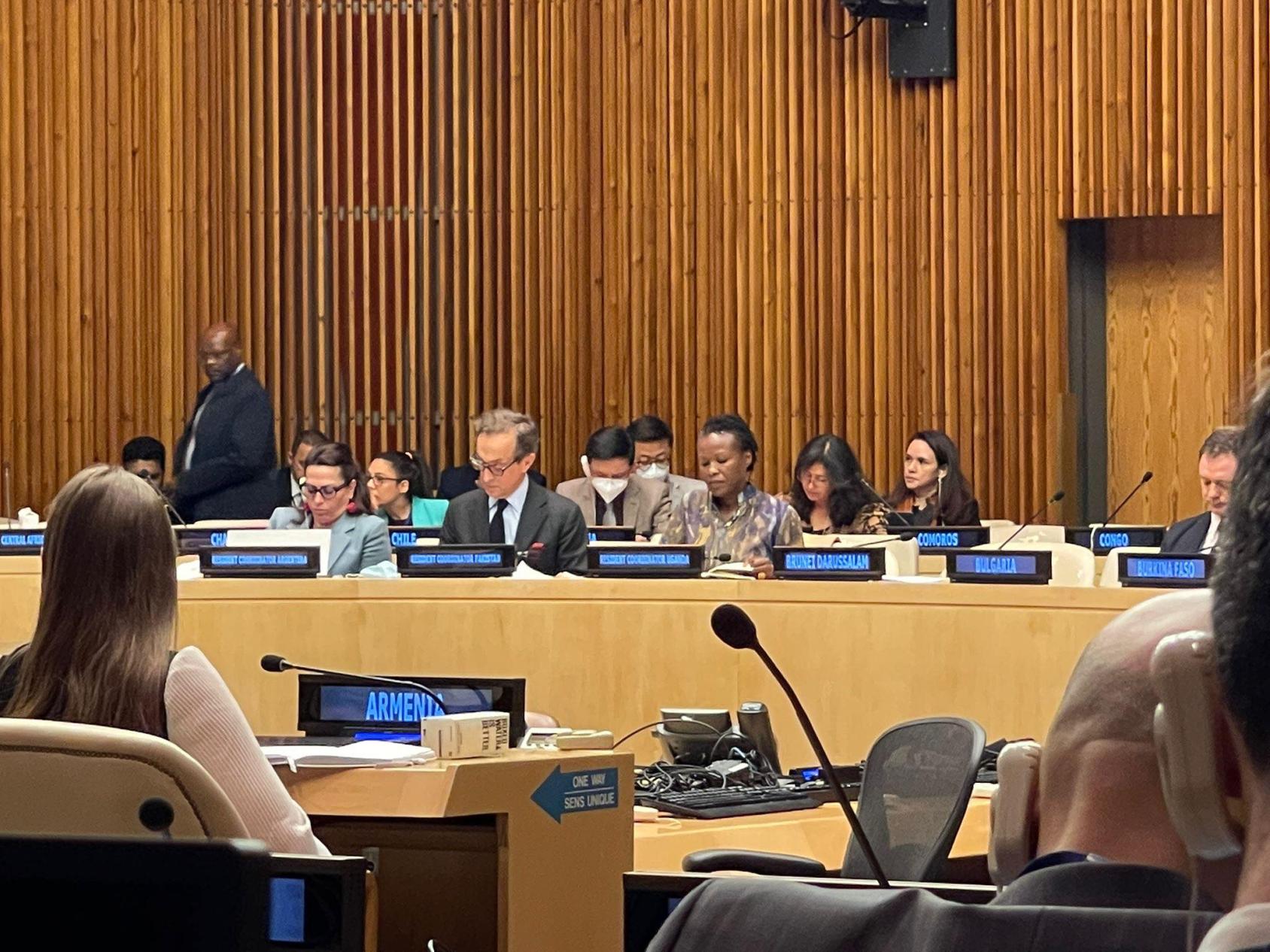 Resident Coordinators sit in the ECOSOC chamber to participate in a dialogue with Member States 