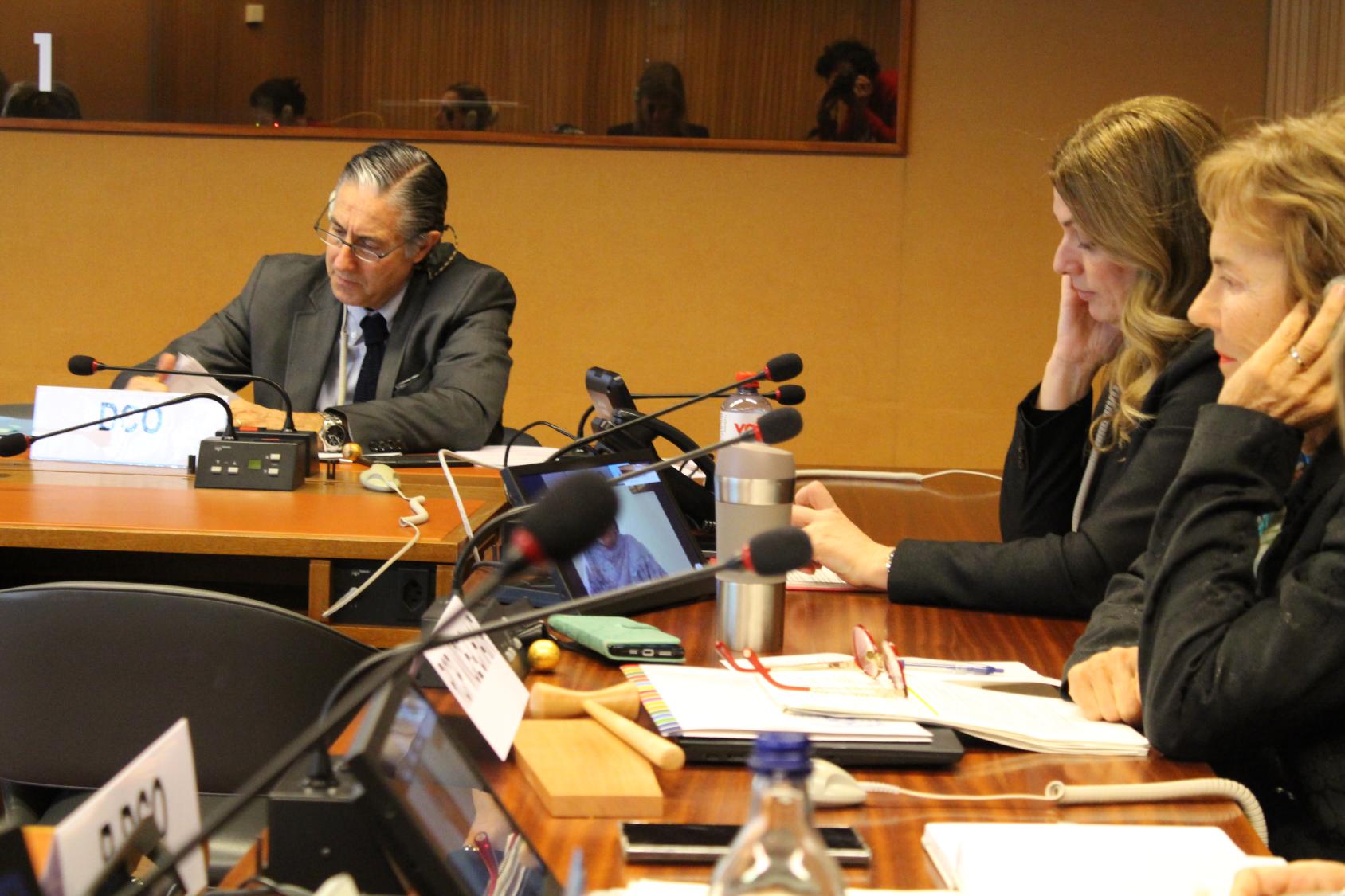 Assistant Secretary-General for UNDCO at a meeting