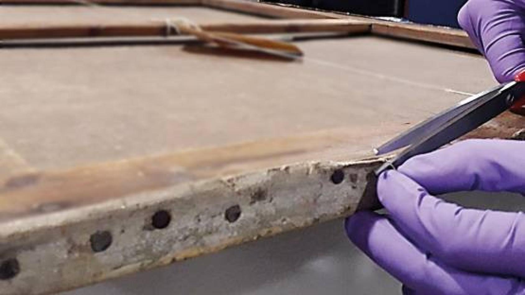 检测一幅印象派油画作品，以确定其是否是赝品。