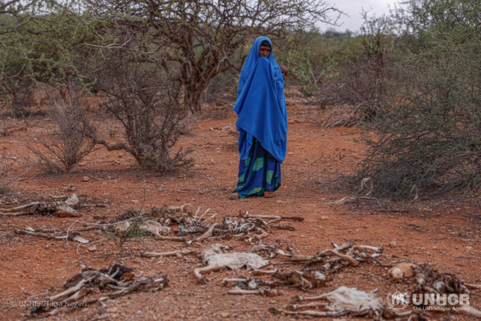 A woman covered head to toe in blue stands in a desert like area as bones of dead livestock lie at her feer