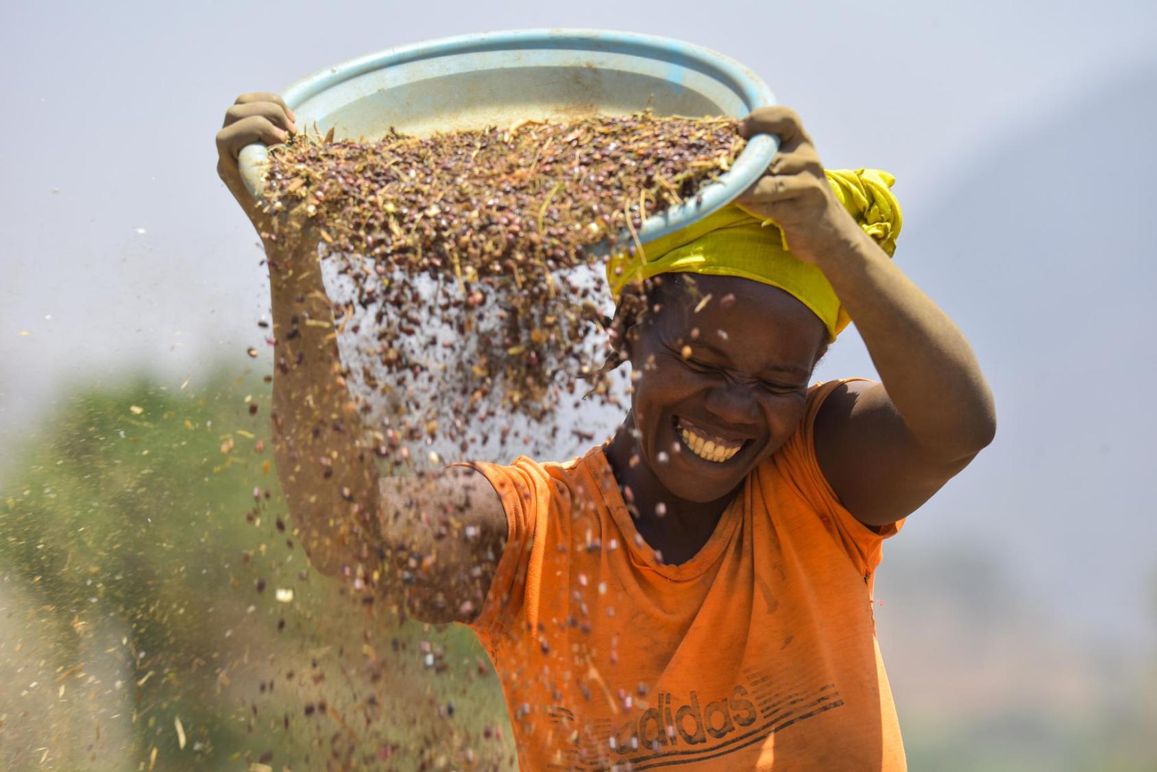 A woman in an orange shirt and yellow headscarf shakes out a pan of brown grains