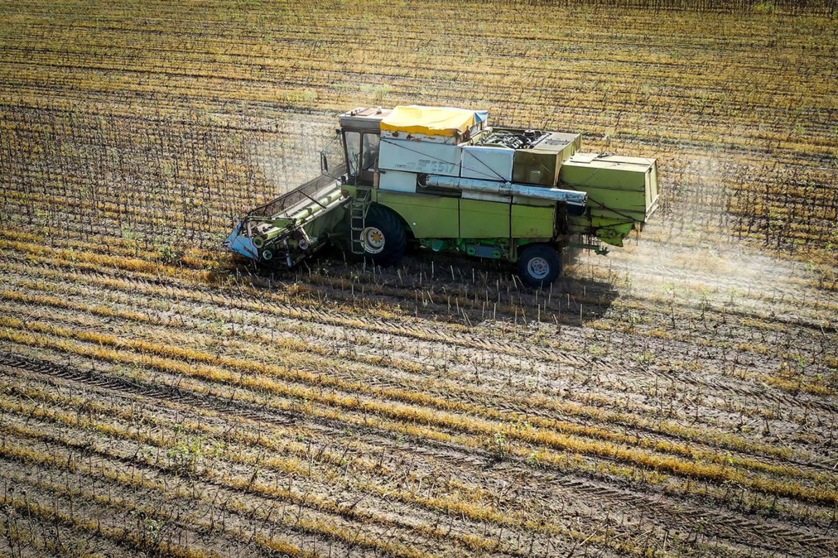 a tractor on a field of wheat 