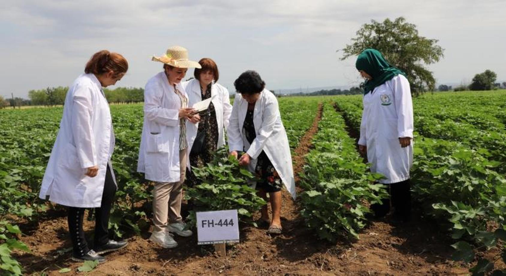Азербайджанские исследователи и фермеры.