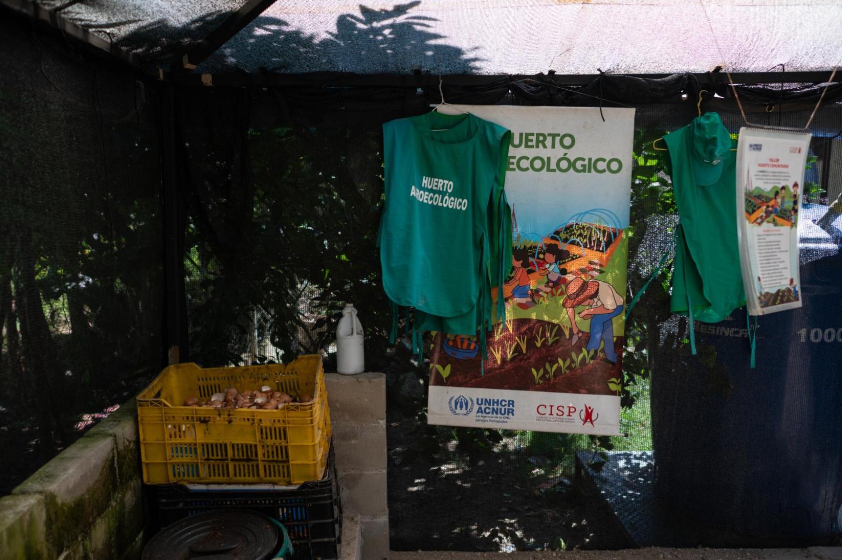 Huerto de la casa hogar "Los Abuelos de Jesús"