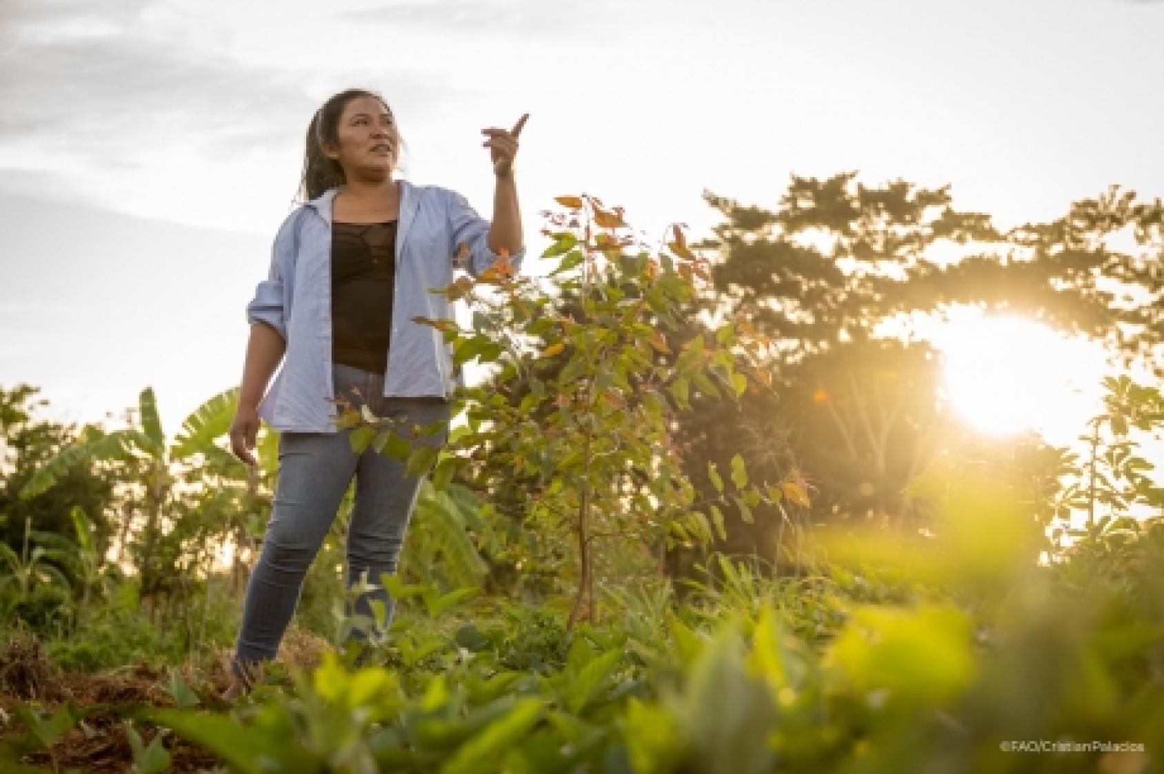 El bosque provee de madera, medicinas y medios de vida a la comunidad indígena. No obstante, el cambio climático y la actividad humana están poniendo en peligro estos bosques. El proyecto PROEZA tiene como objetivo reforestar esta zona y poner en práctica actividades forestales sostenibles para incrementar los ingresos familiares.