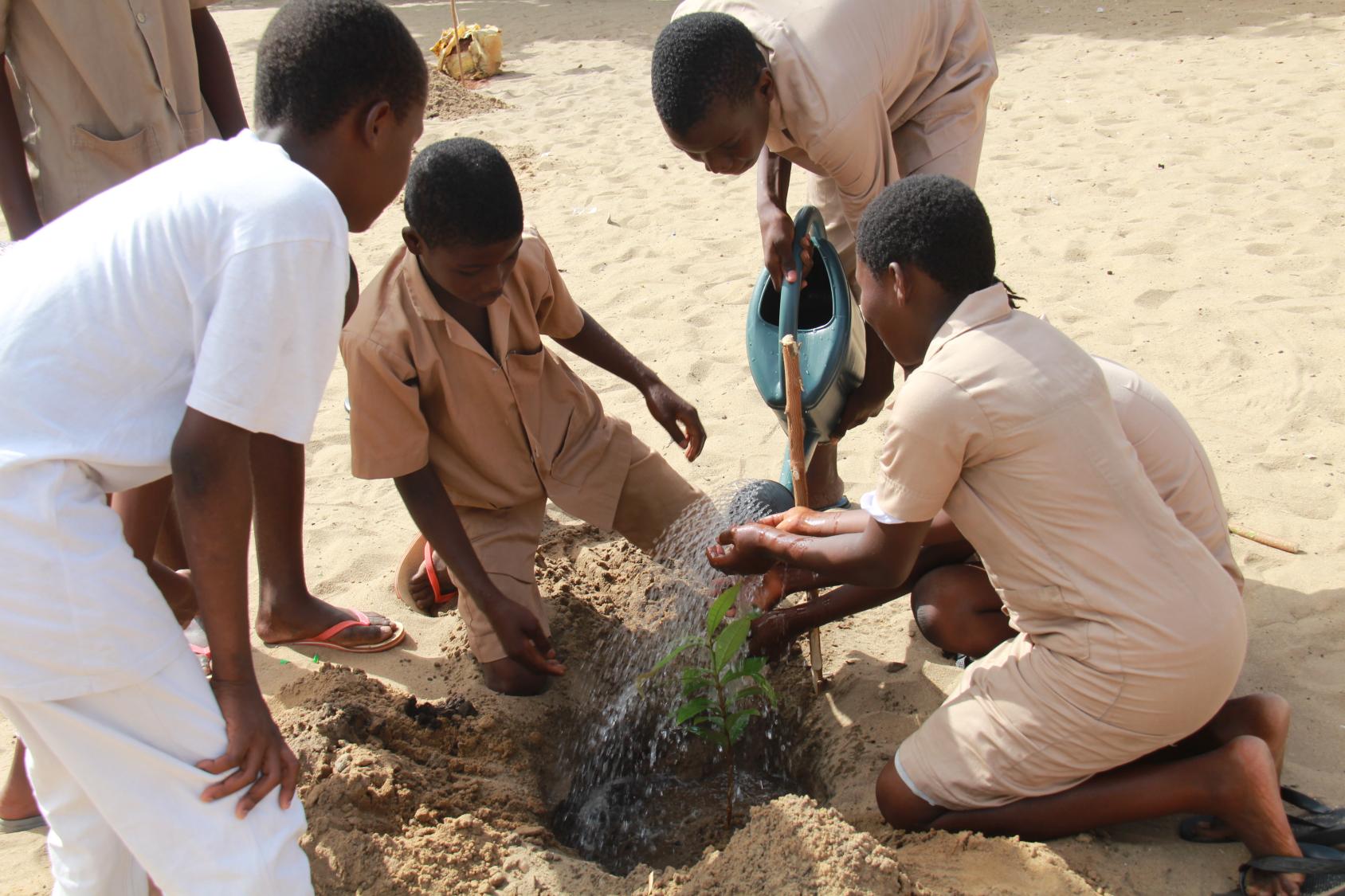 Un groupe d’enfants plantant un arbre ensemble.