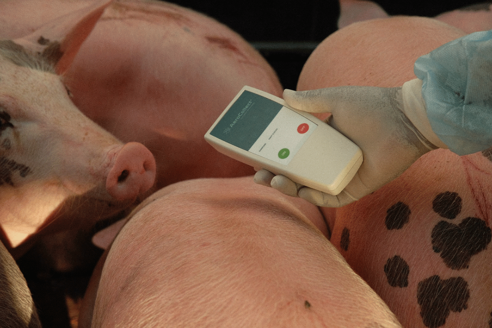 Le projet, dans le cadre duquel des échantillons sont prélevés au fil du temps, vise à mieux comprendre quelles maladies sont présentes dans l’environnement et à quel moment elles apparaissent, afin d’aider les pays à surveiller de près les menaces sanitaires émergentes. ©Institut Pasteur du Cambodge/ Erik Karlsson