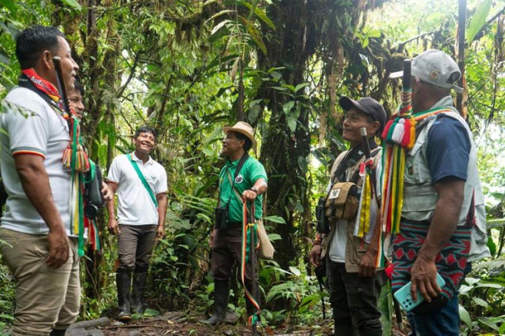 A group of six men in jackets and carrying tools stand in the midst of a lush green mangrove forest in Colombia