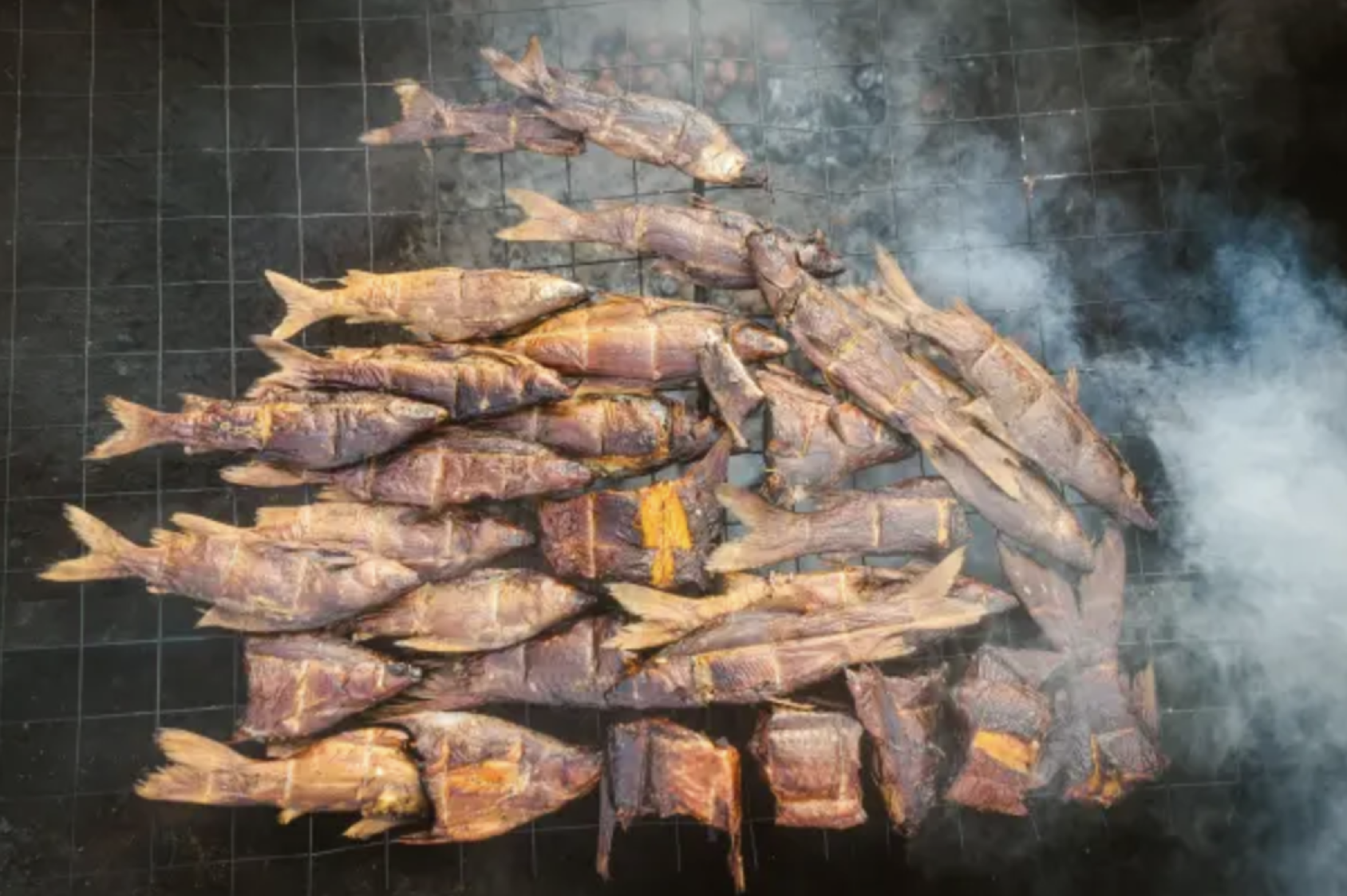一些鱼正在架子上被烤制