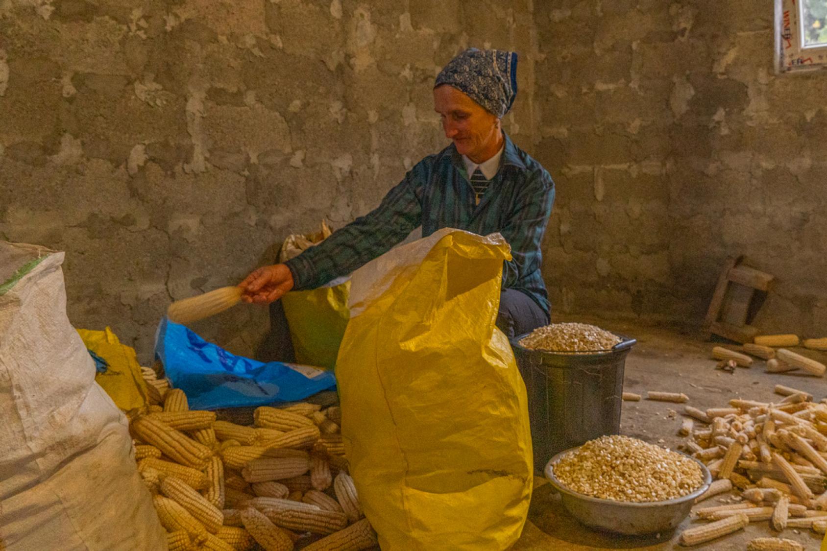 Nino Kavtaradze working