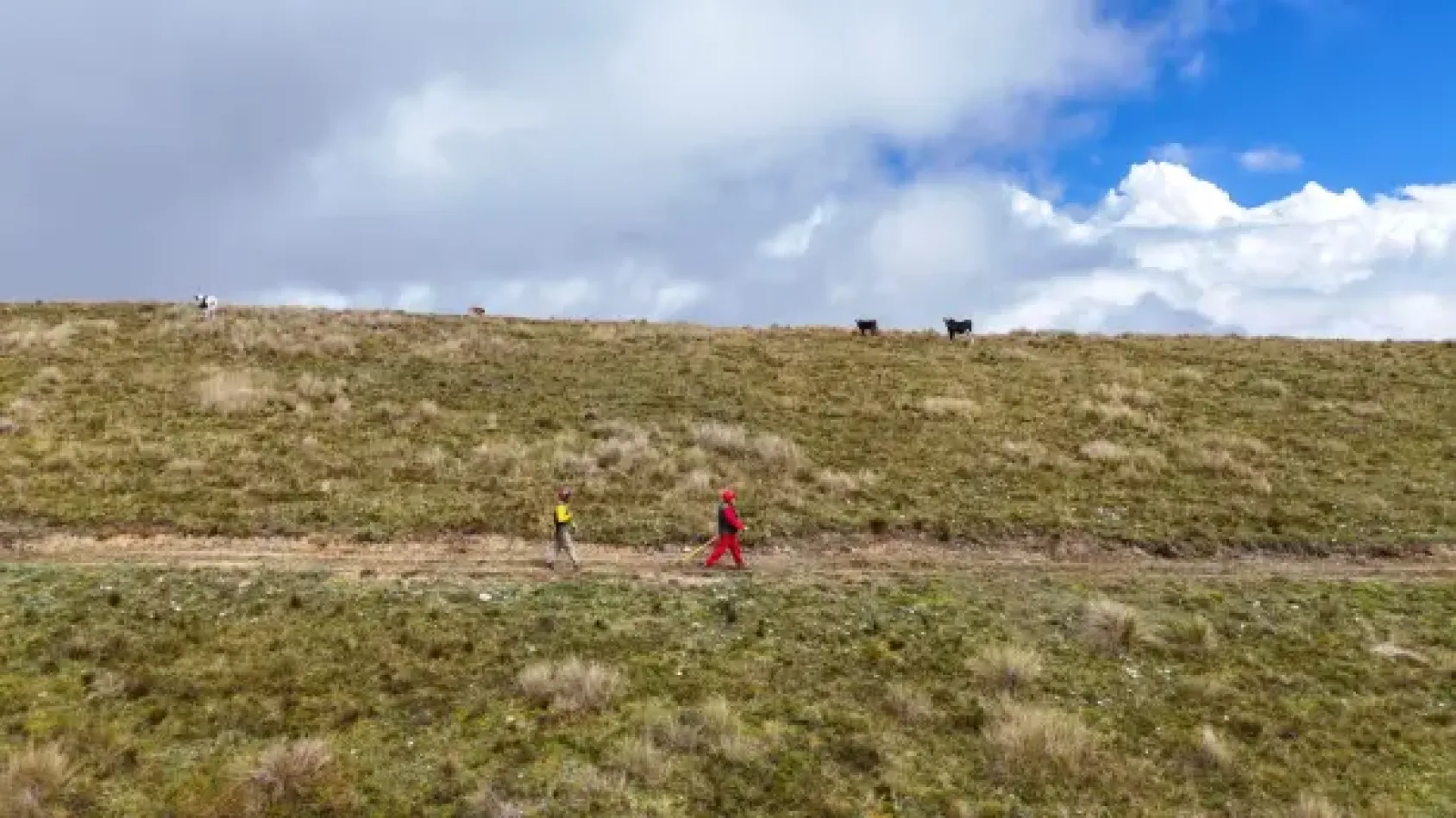 Hombres recorriendo la línea de defensa, animales atrás