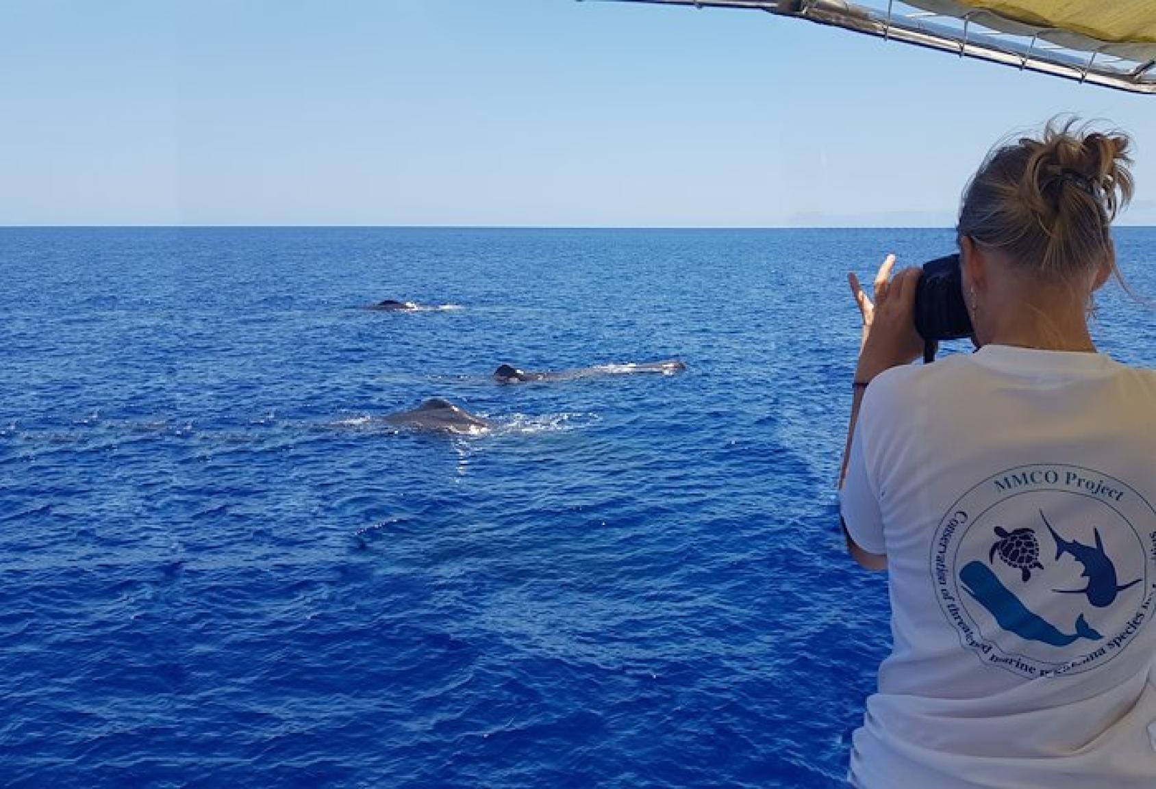 Woman observing sperm whales