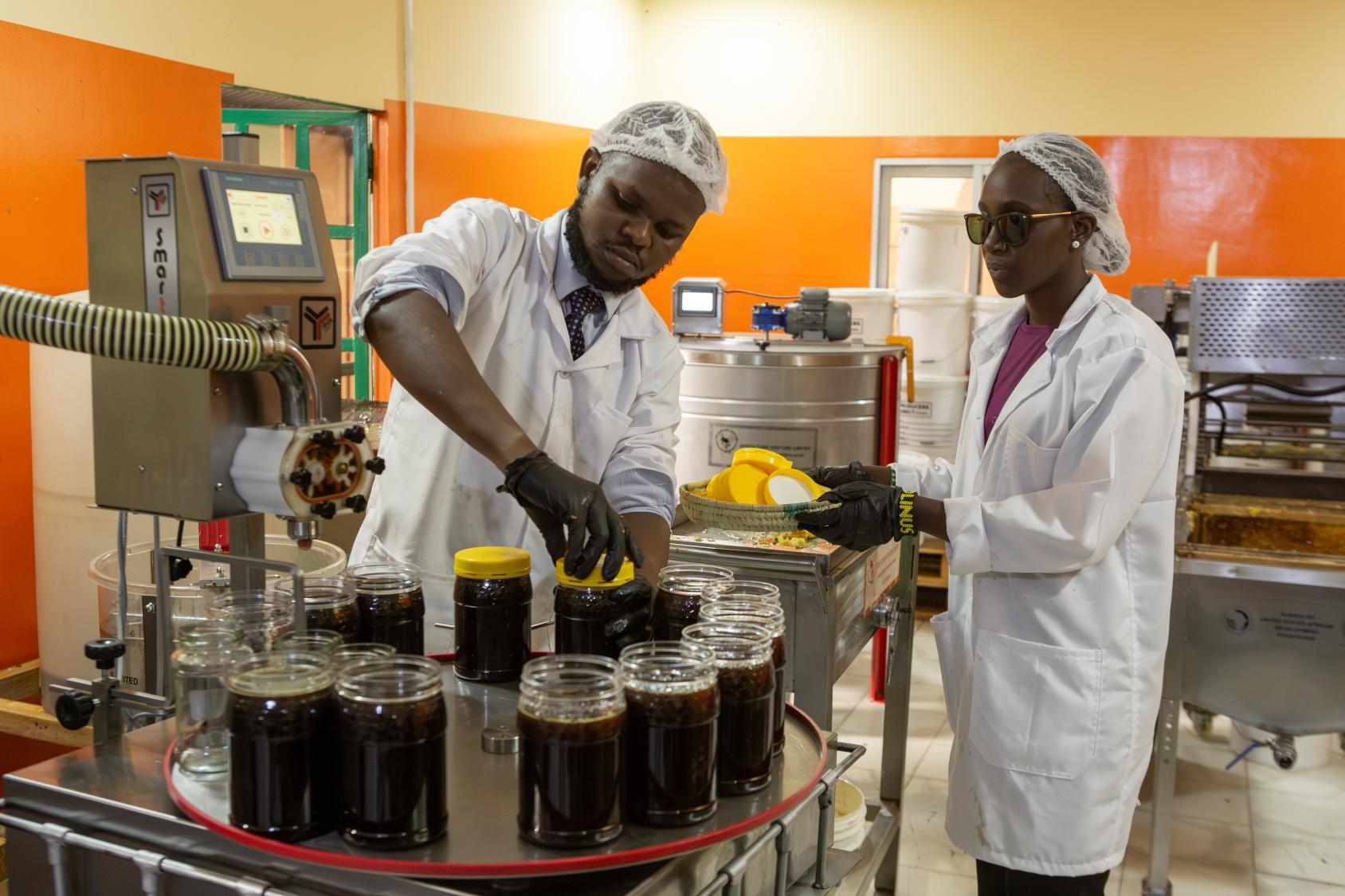 Two people handling food in a factory